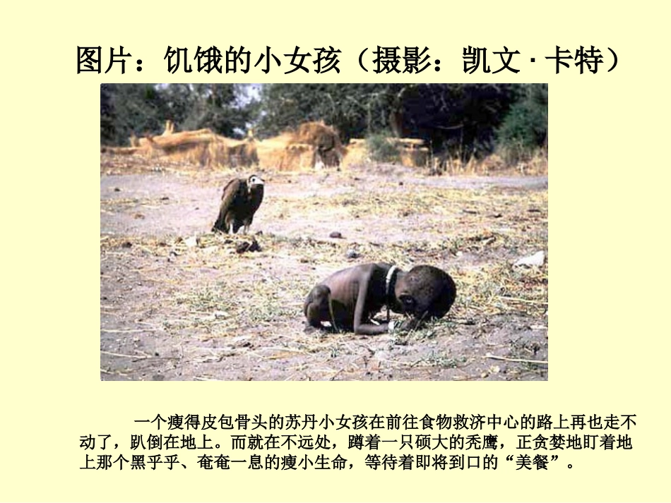 第三节__膳食指南与食品安全_第2页
