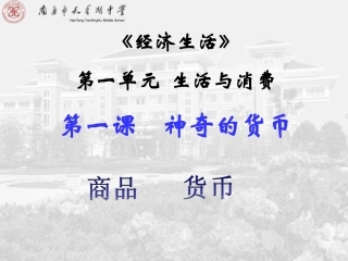 第一课神奇的货币