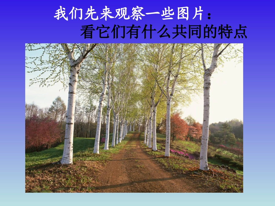 第一课__画家乡的风景1_第3页