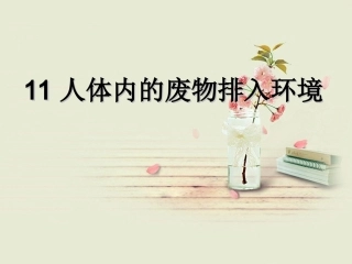 第一节___人体泌尿系统的组成课件