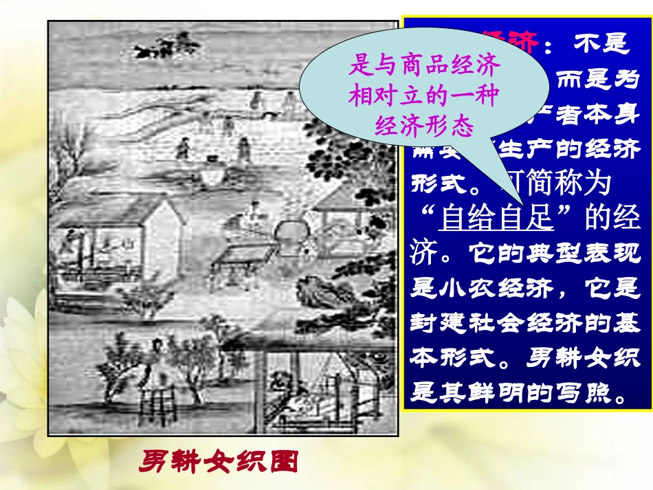 第9课近代中国经济结构的变动_第2页