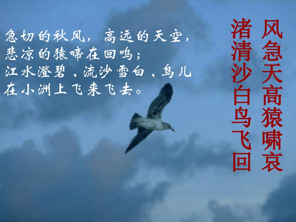 第6课《杜甫诗三首之登高》课件2（新人教版必修三）_第3页