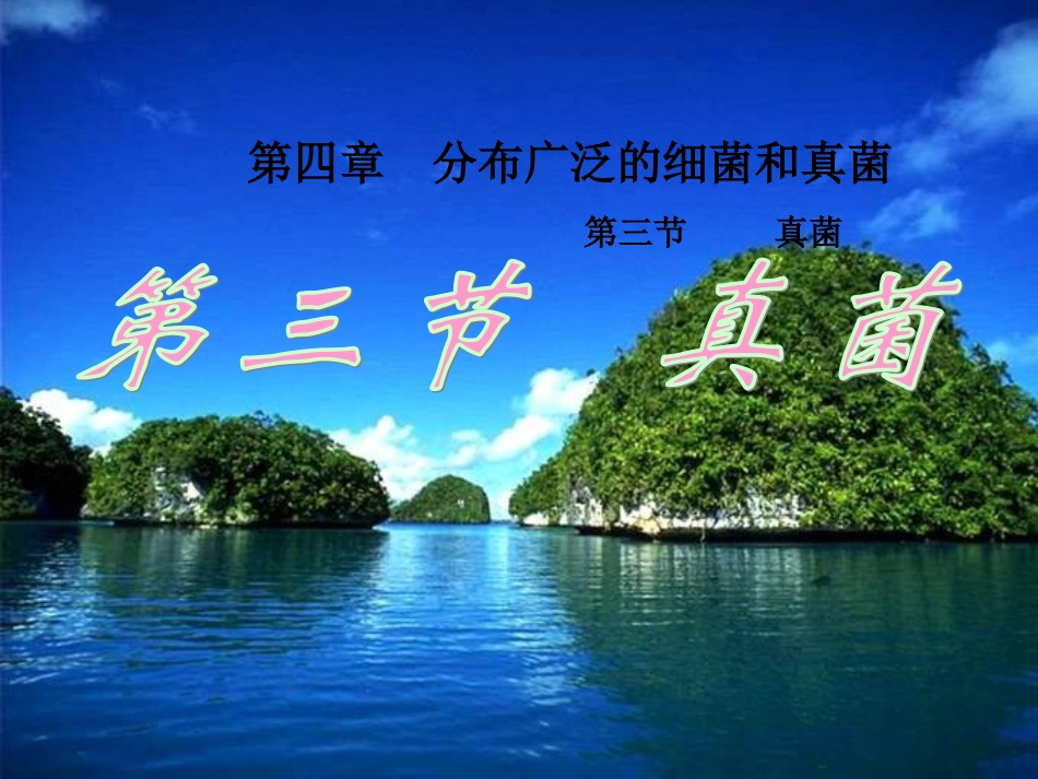 第5单元第4章第3节真菌课件(人教版八年级上)_第1页