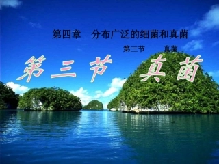 第5单元第4章第3节真菌课件(人教版八年级上)