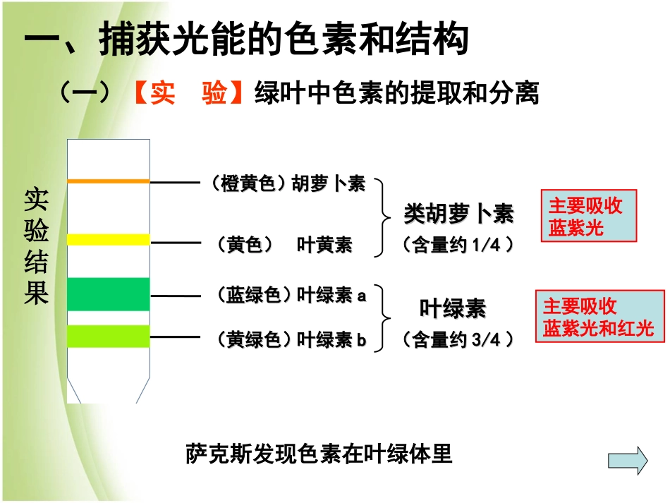 第4节能量之源光与光合作用——冷淑娇_第2页