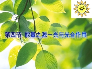 第4节能量之源光与光合作用——冷淑娇