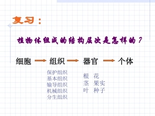 第2节　人和动物体的组成