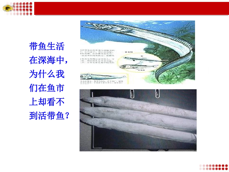 第2节液体的压强_第3页