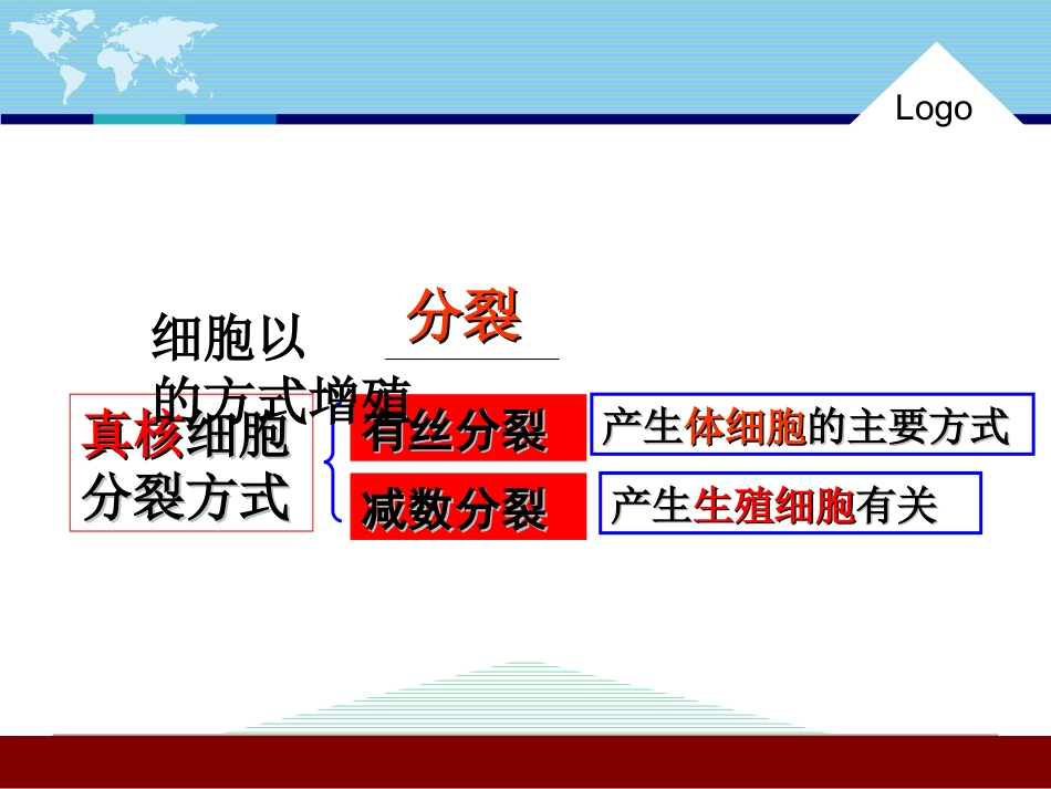 第1节细胞的增殖 (2)_第3页