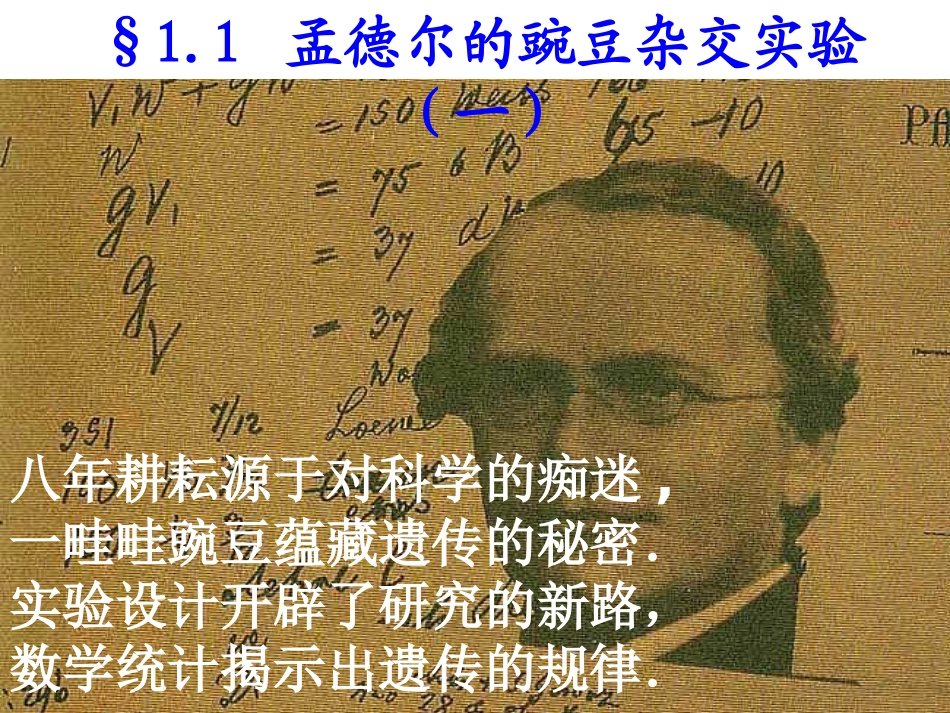 第1节孟德尔的豌豆杂交实验(一)_第2页