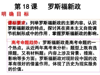 第18课罗斯福新政 (3)