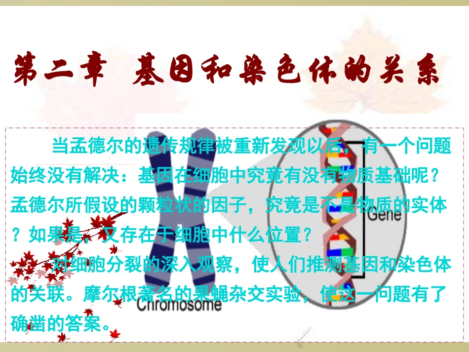 第1节+减数分裂和受精作用56张_第1页