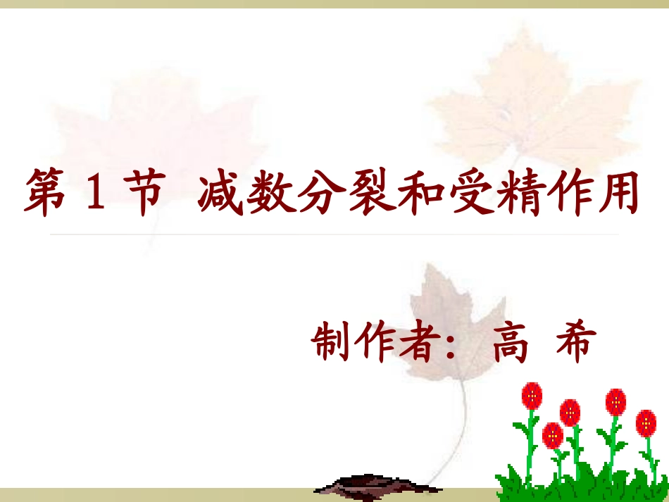 第1节+减数分裂和受精作用56张_第2页