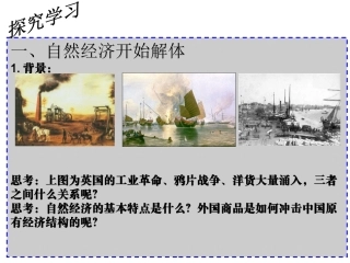 第10课_近代中国经济结构的变动[岳麓版]