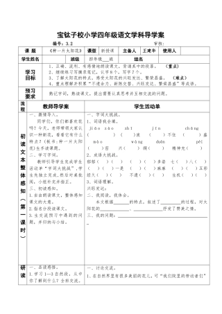 种一片太阳花