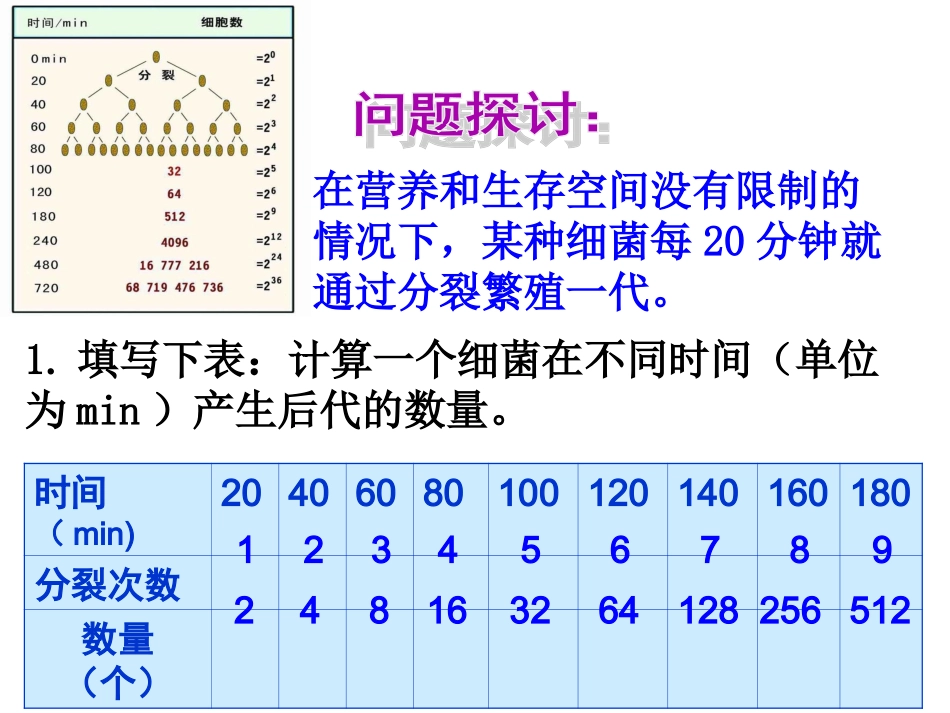 种群数量的变化(优秀课件——上课专用)_第2页