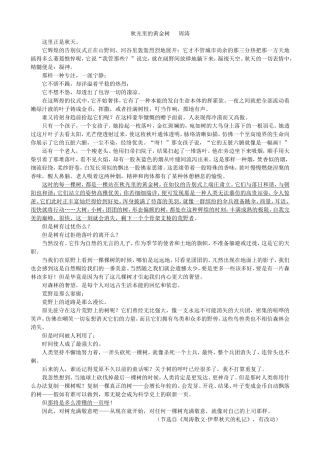 秋光里的黄金树周涛