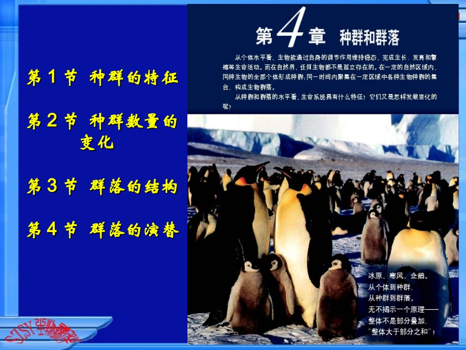 种群的特征课件_第1页