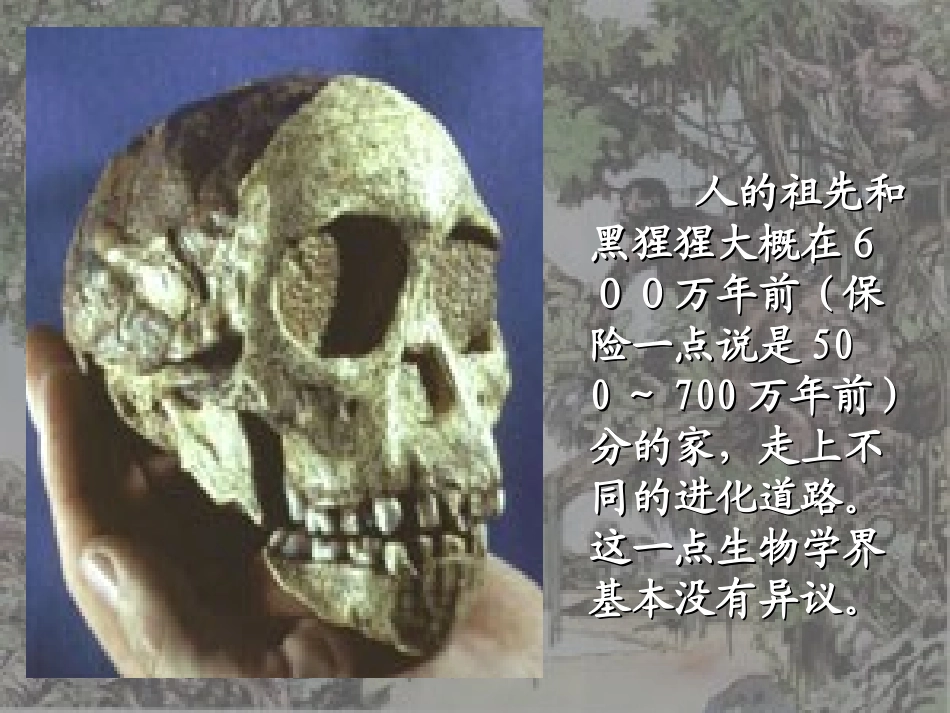 祖国境内的原始居民_第1页