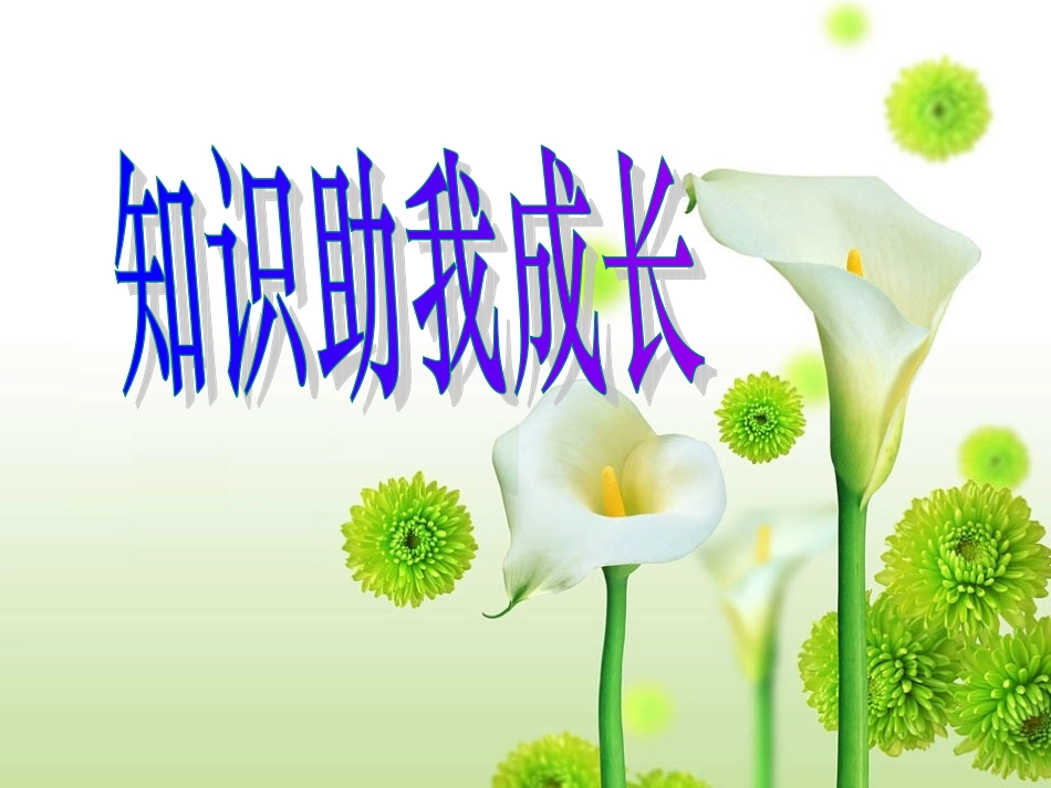 知识助我成长_第2页