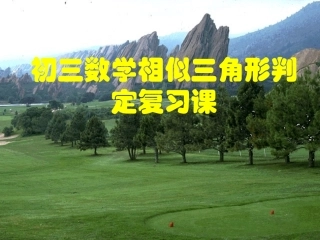 相似三角形复习