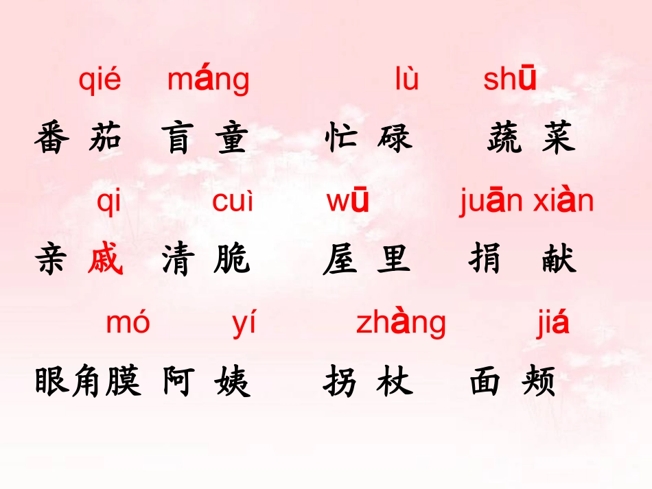 番茄太阳 (3)_第2页