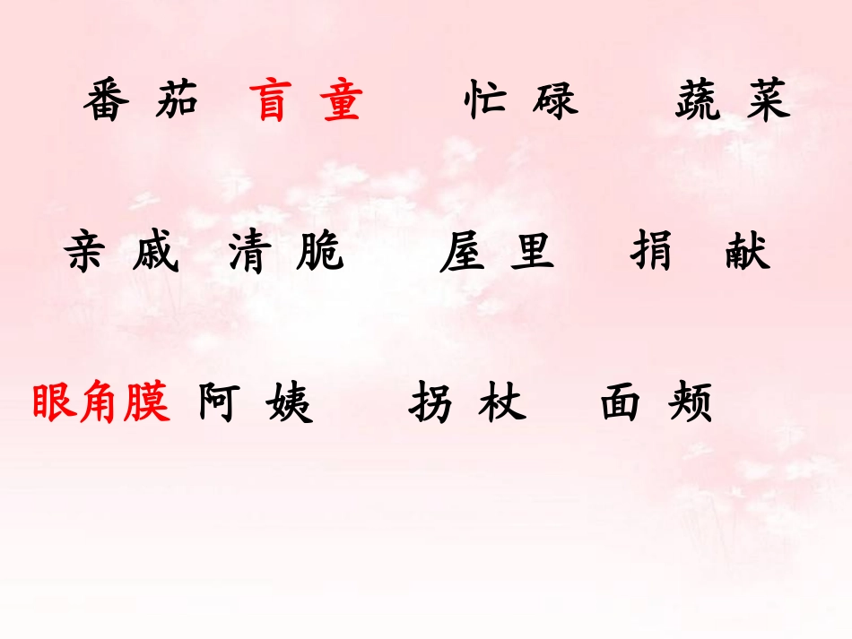 番茄太阳 (3)_第3页