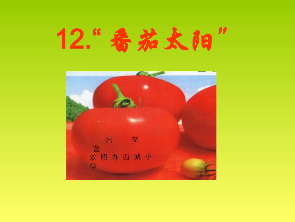 番茄太阳课件_第1页