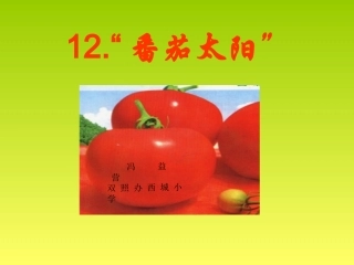 番茄太阳课件