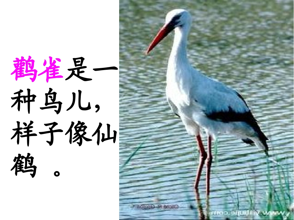 登鹳雀楼修改[1]_第3页