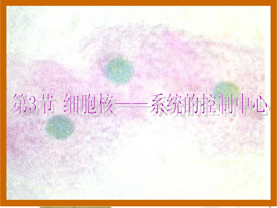 用细胞核——系统的控制中心1_第1页