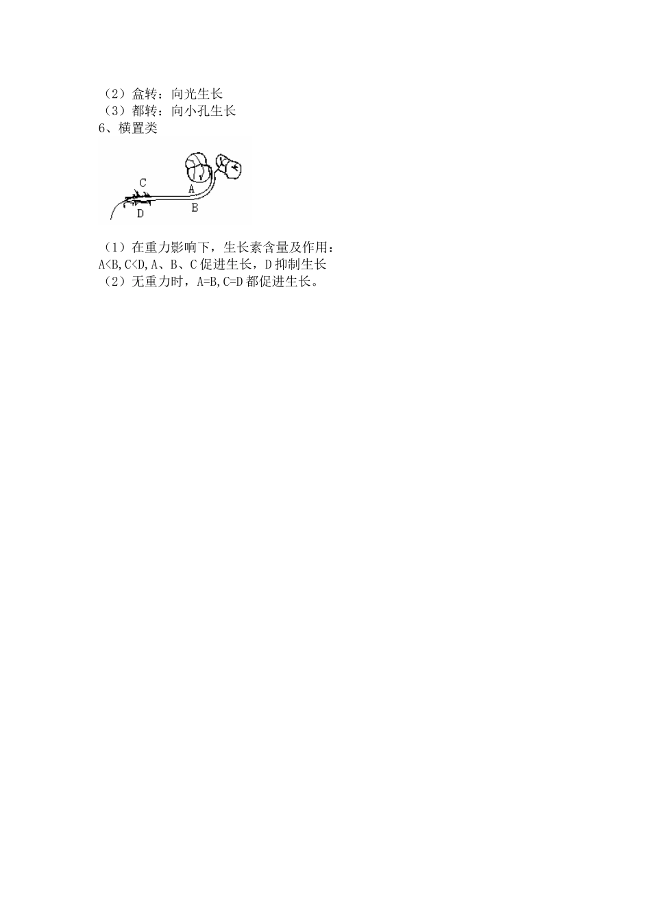 生长素的图像_第2页