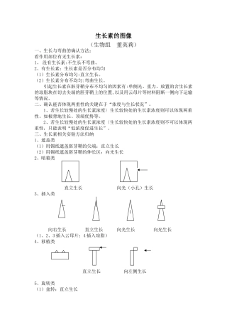 生长素的图像