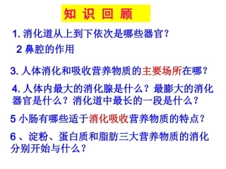 生物课件合理膳食与食品安全