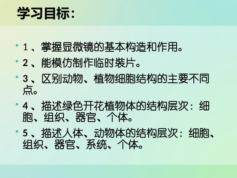 生物体的层次结构_第2页
