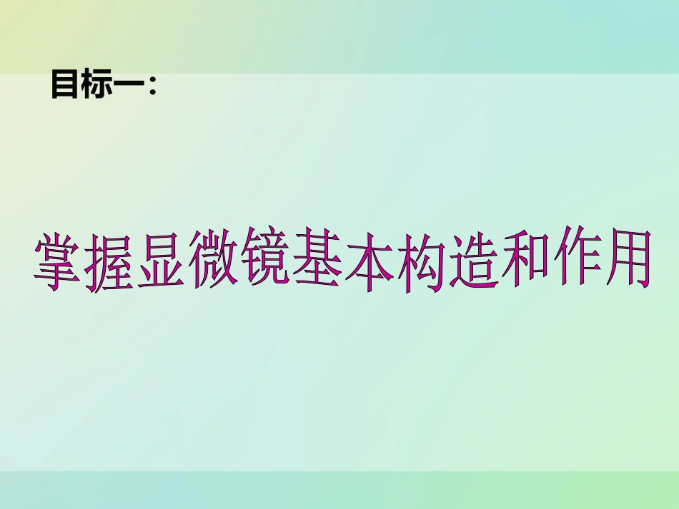 生物体的层次结构_第3页