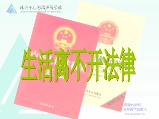 生活离不开法律