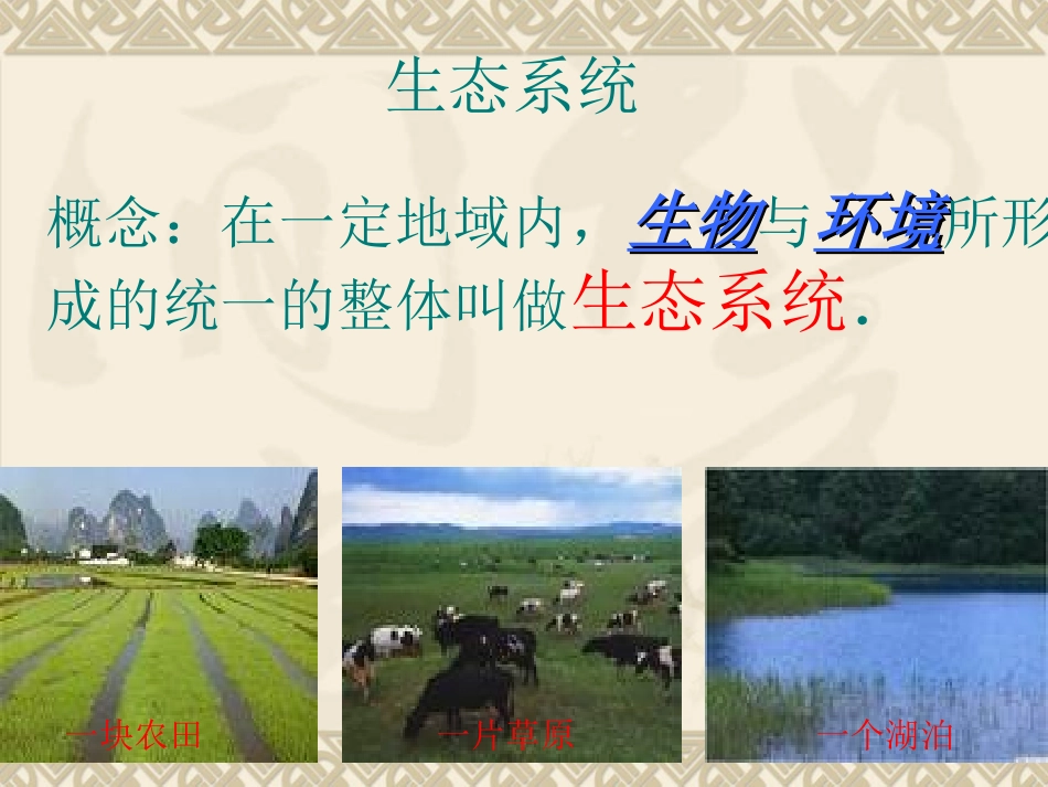 生态系统课件_第2页