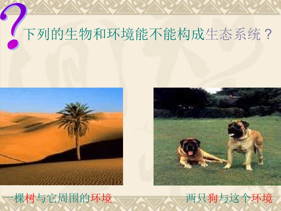 生态系统课件_第3页