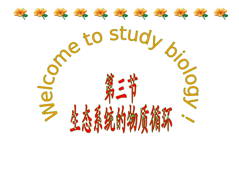 生态系统的物质循环 (2)_第3页