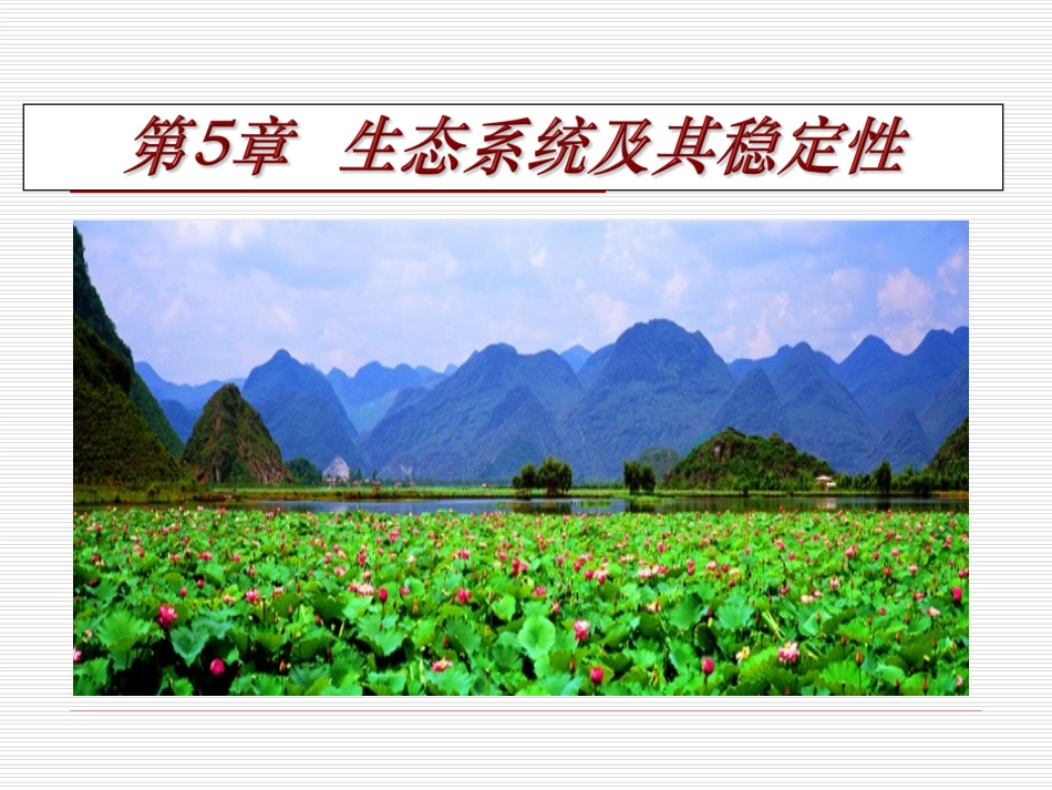 生态系统的物质循环_第1页