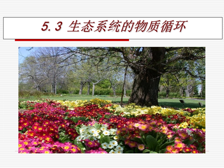 生态系统的物质循环_第2页