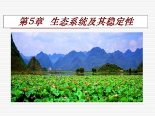 生态系统的物质循环