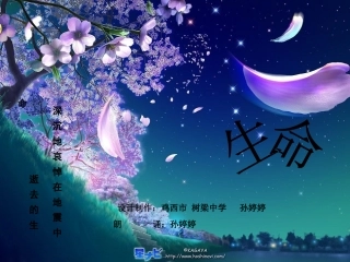 生命——抗震朗诵