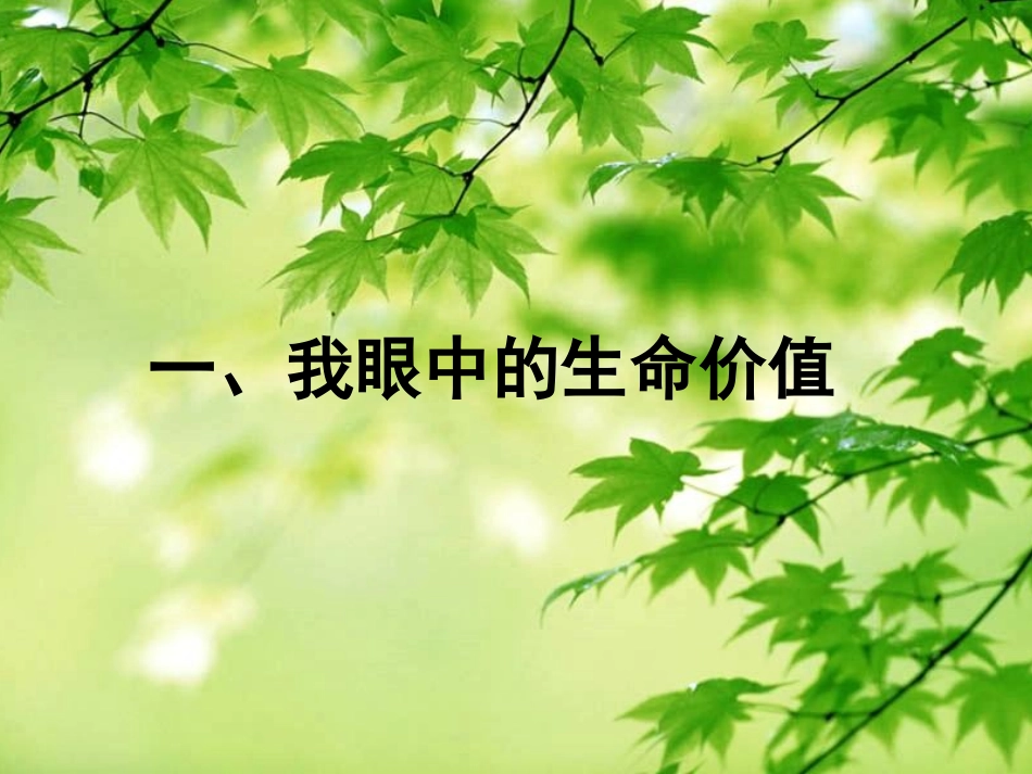 班会－－放飞理想_第2页