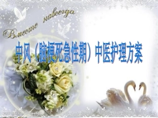 中风脑梗死急性期中医护理方案课件