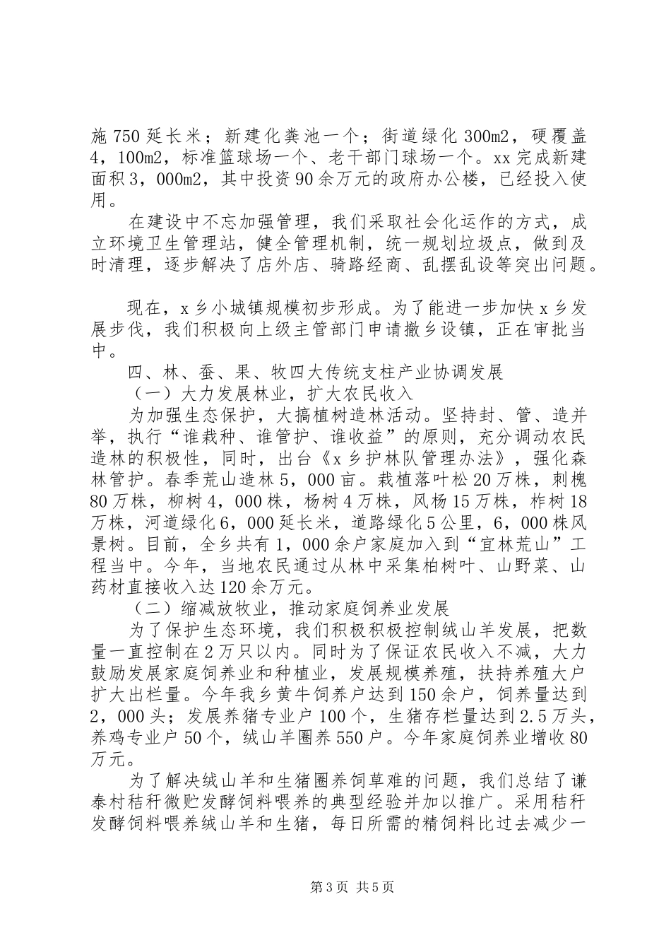 乡镇年终工作总结及工作安排总结_第3页