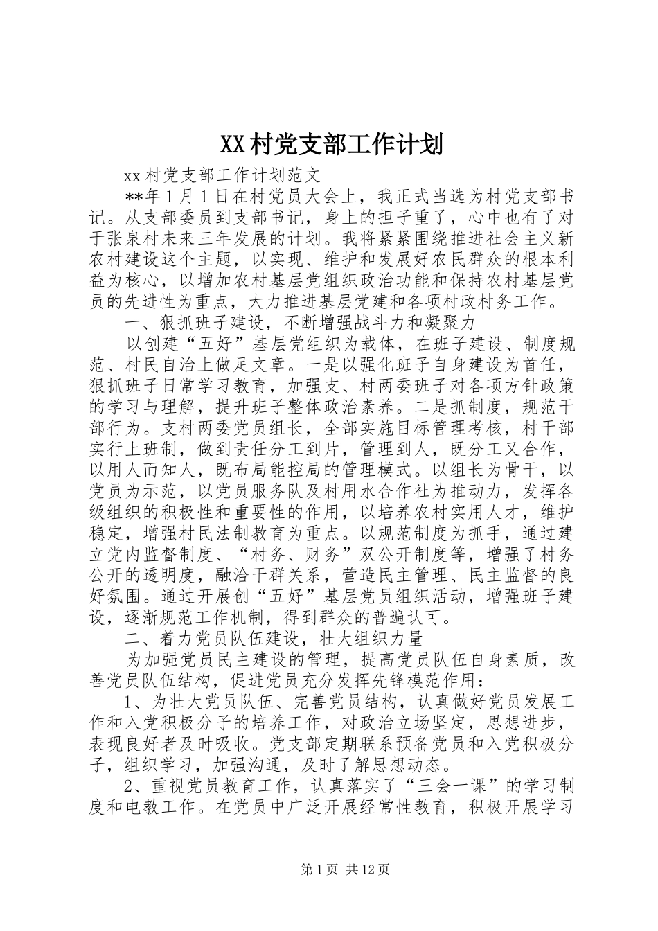 XX村党支部工作计划_第1页