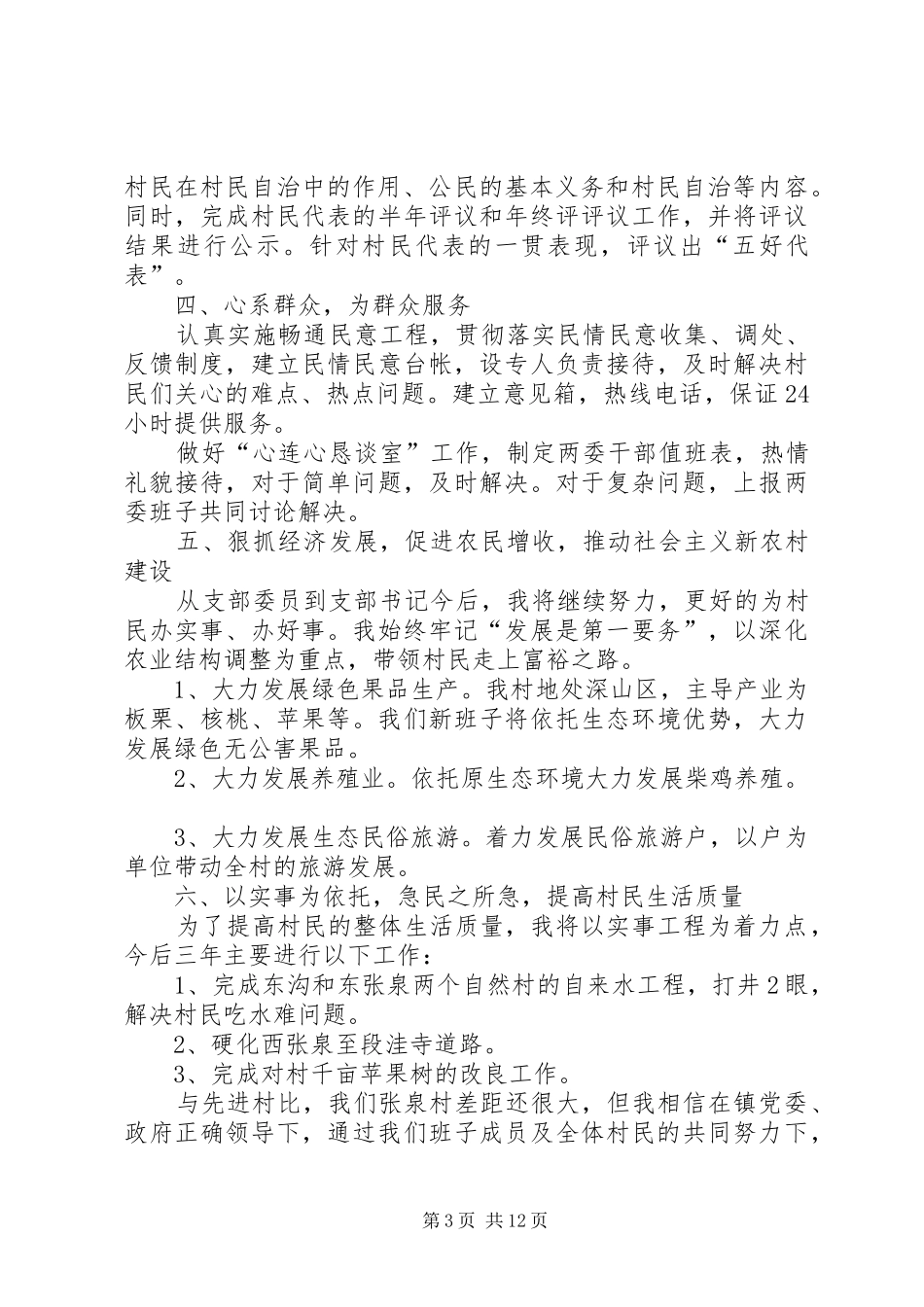 XX村党支部工作计划_第3页