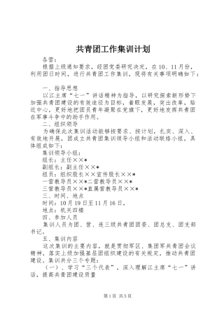共青团工作集训计划